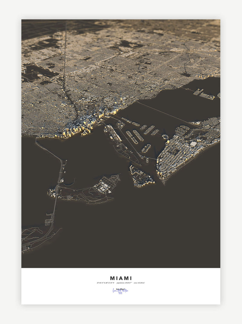 Miami City Map - Luis Dilger